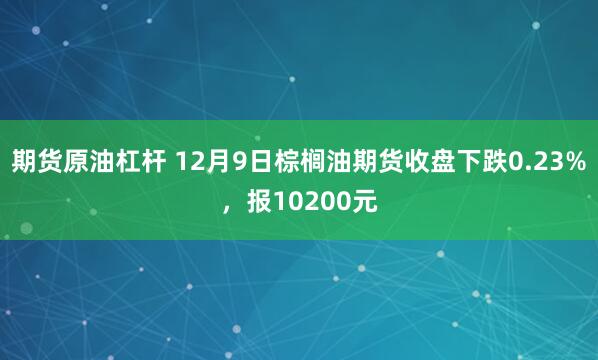 期货原油杠杆 12月9日棕榈油期货收盘下跌0.23%，报10200元