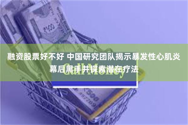 融资股票好不好 中国研究团队揭示暴发性心肌炎幕后黑手并探索潜在疗法