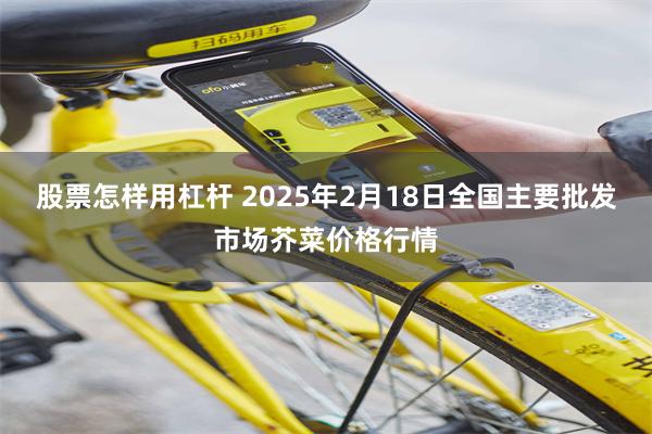 股票怎样用杠杆 2025年2月18日全国主要批发市场芥菜价格行情