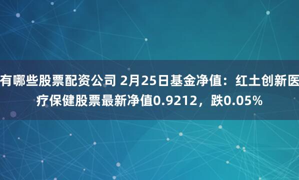 有哪些股票配资公司 2月25日基金净值：红土创新医疗保健股票最新净值0.9212，跌0.05%